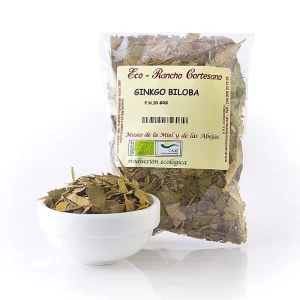 Ginkgo Biloba ECO