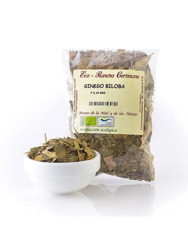 Ginkgo Biloba ECO