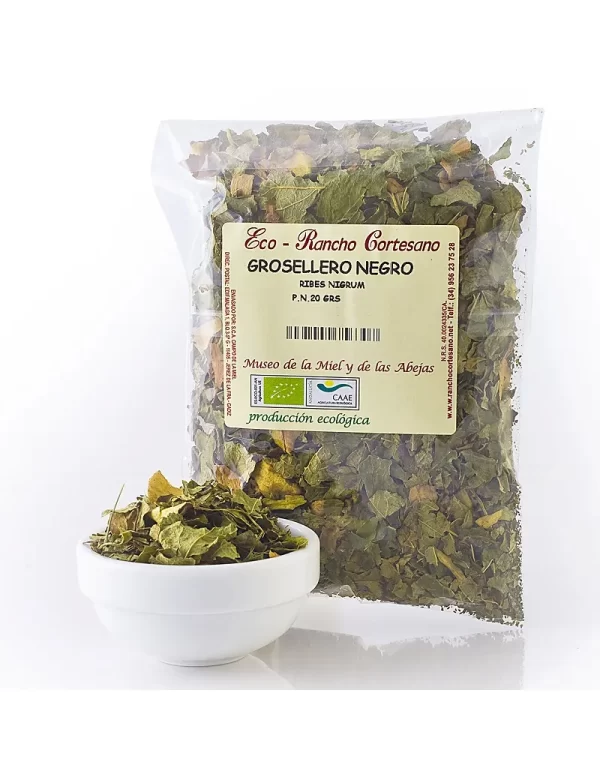 Grosellero Negro ECO