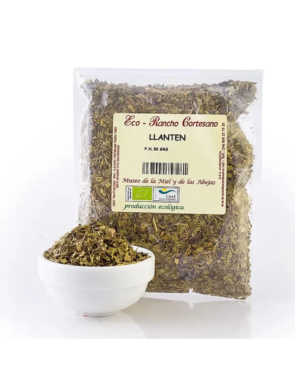 Llantén produccion ecologica