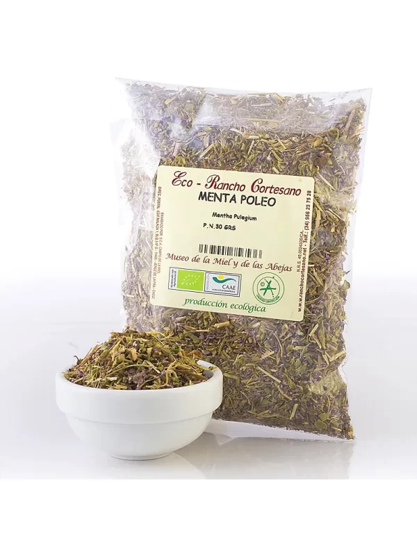 Menta Poleo eco