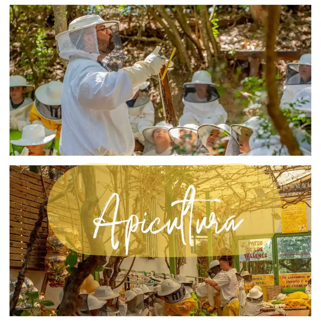 apicultura rancho cortesano visita