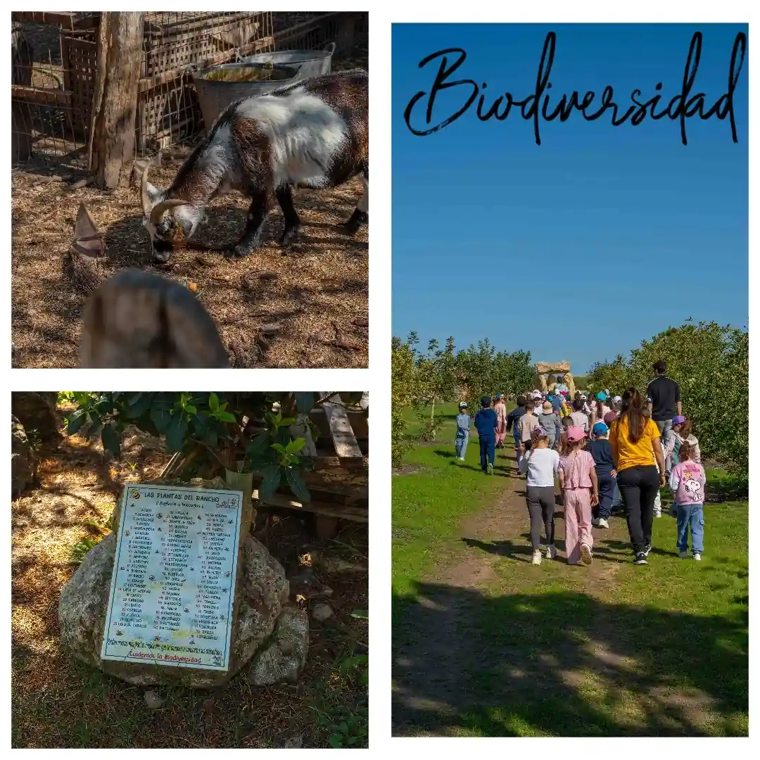 biodiversidad rancho cortesano visita