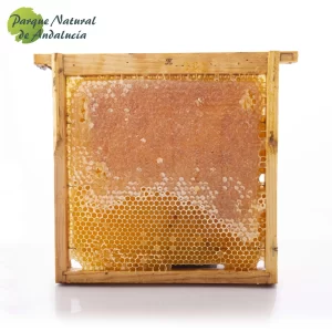 panal de miel